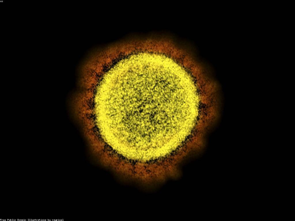 ការយល់ដឹងអំពីសុវត្ថិភាពនៅក្នុងសាលា