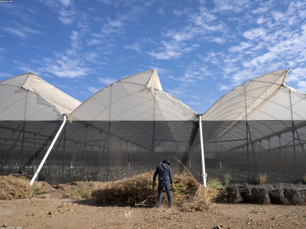 ចំណេះដឹងពីសុវត្ថិភាព