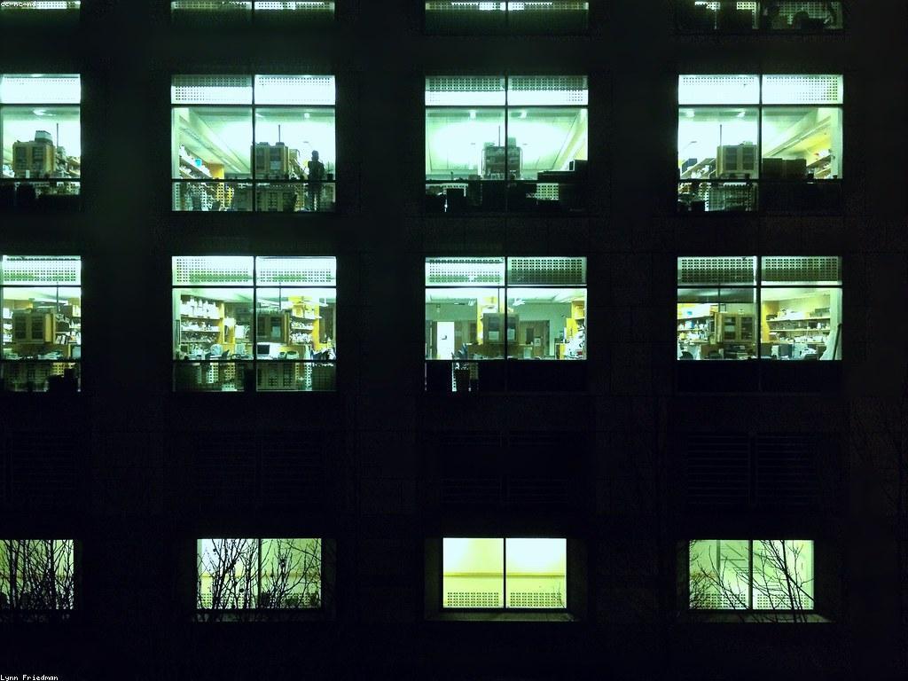 ការប្រើប្រាស់បច្ចេកវិទ្យា ដើម្បីអភិវឌ្ឍន៍ជីវិត